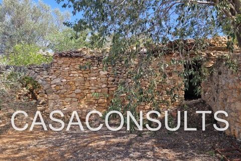 Landejendom i Vilafames, Castellon, Vilafames - € 110.000 | Ref: 818 - foto 6